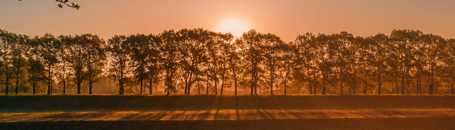 travaux forestiers nantes carquefou treillères entretien de l'environnement